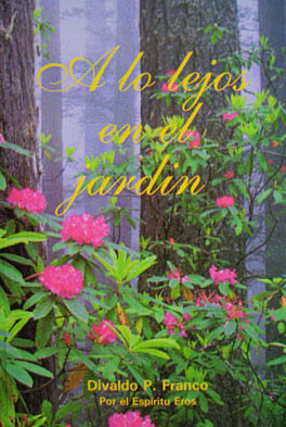 tapa de libro